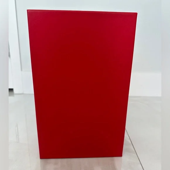 Salvatore Ferragamo Tall Shopping Bag Shoebox and 2 New Dust Bags PRICED TO SELL - Picture 8 of 15